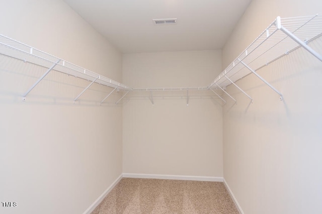 spacious closet featuring carpet flooring