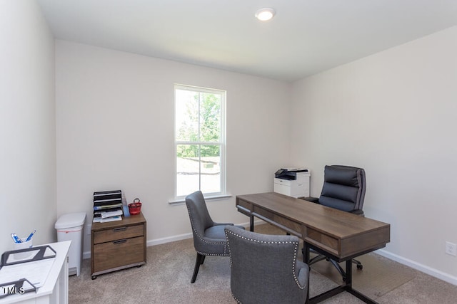 office featuring a healthy amount of sunlight and light carpet