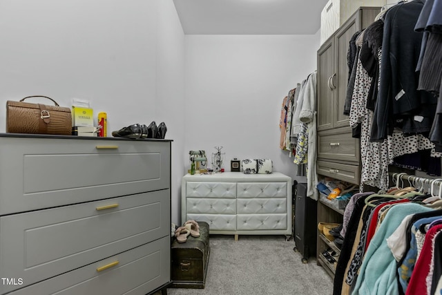 spacious closet featuring light carpet