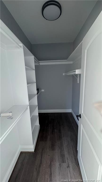 walk in closet with dark wood-type flooring