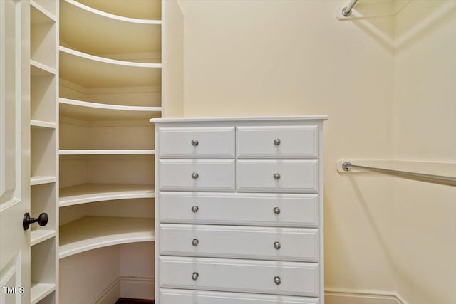view of spacious closet