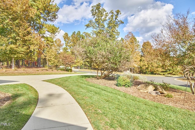 view of community featuring a yard