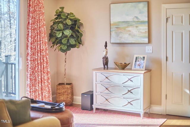 sitting room featuring hardwood / wood-style flooring