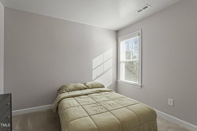 105 Langdon Chase Way, Selma, NC 27576 - carpeted bedroom with baseboards and visible vents
