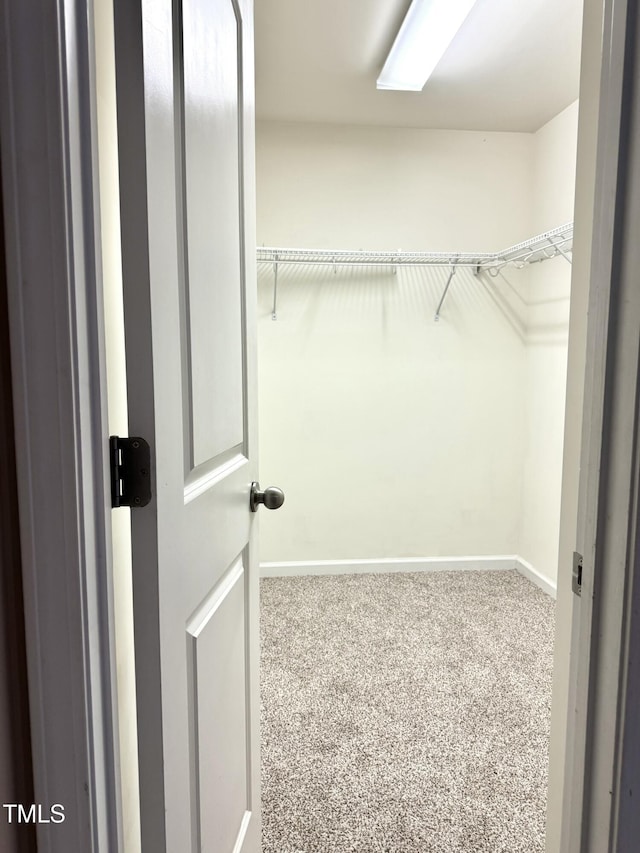 5879 Odenton Ln, Pfafftown, NC 27040 - walk in closet with carpet floors