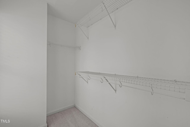 spacious closet with light colored carpet