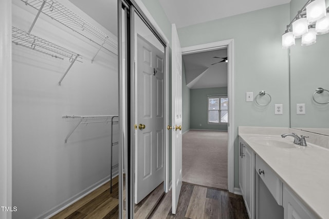 bathroom with vanity and hardwood / wood-style flooring