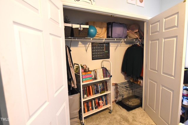 view of closet