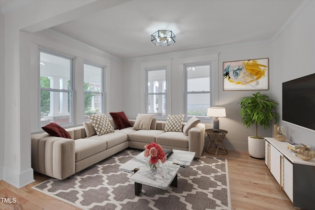 living room featuring ornamental molding and light hardwood / wood-style flooring