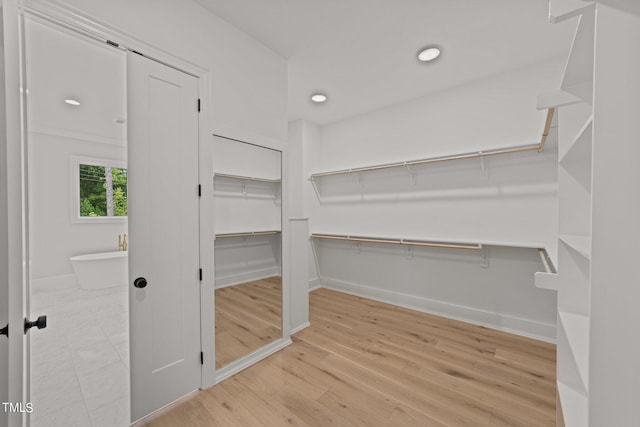 spacious closet featuring light hardwood / wood-style floors