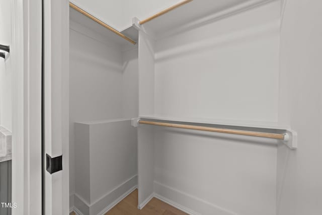 spacious closet featuring hardwood / wood-style floors