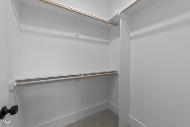 view of walk in closet