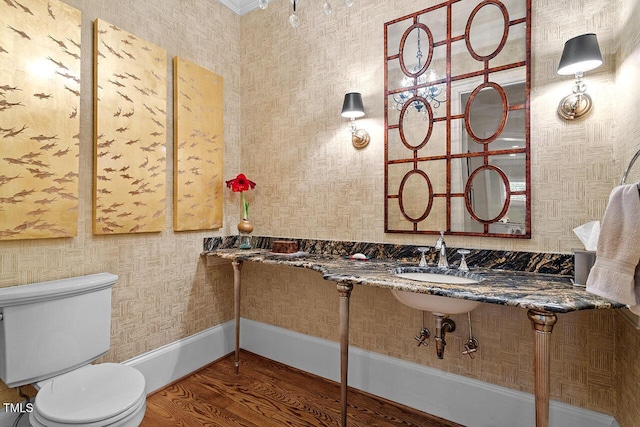 bathroom featuring sink, wood-type flooring, and toilet