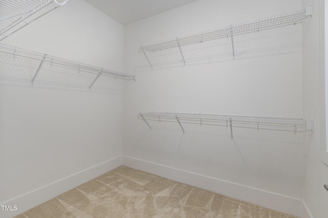 spacious closet featuring carpet floors