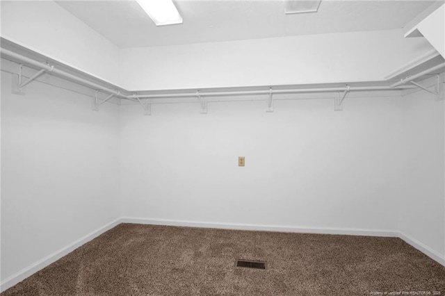 spacious closet featuring carpet flooring