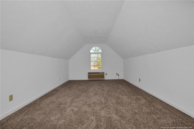 bonus room with radiator, vaulted ceiling, a textured ceiling, and carpet