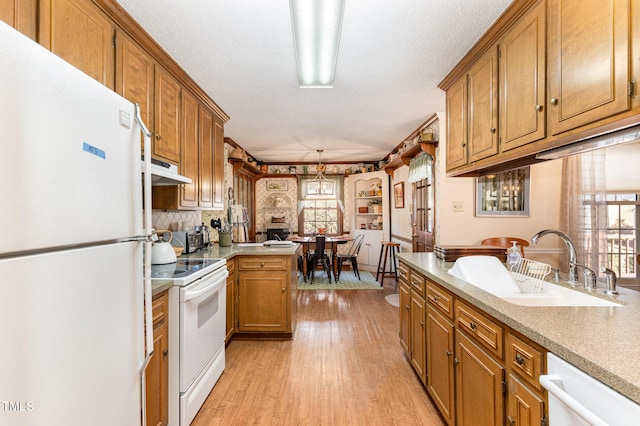 kitchen featuring white appliances, a healthy amount of sunlight, sink, and light wood-type flooring