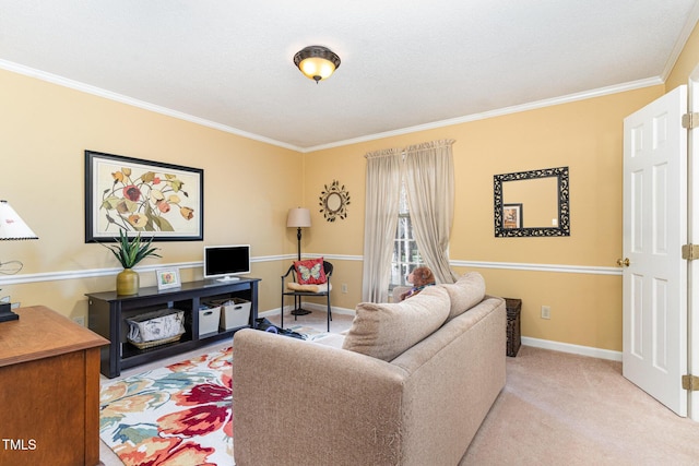 living room with crown molding and carpet