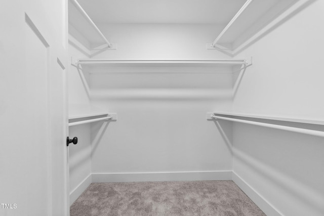 spacious closet featuring light colored carpet