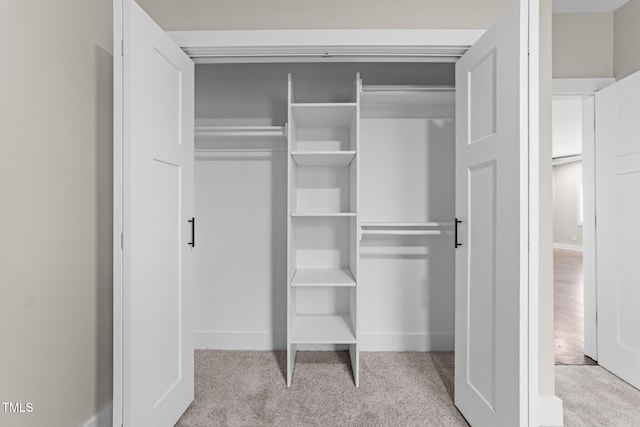 view of closet