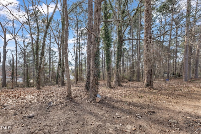 view of local wilderness