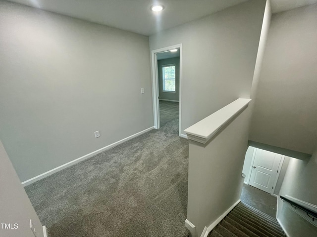 stairway featuring carpet floors