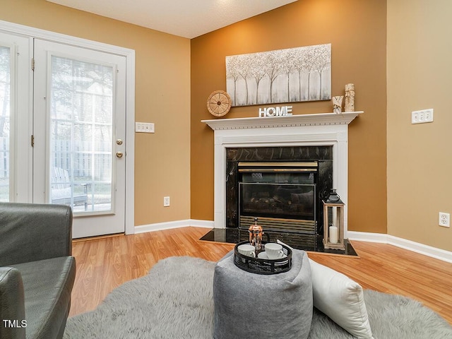 living room featuring hardwood / wood-style flooring and a fireplace