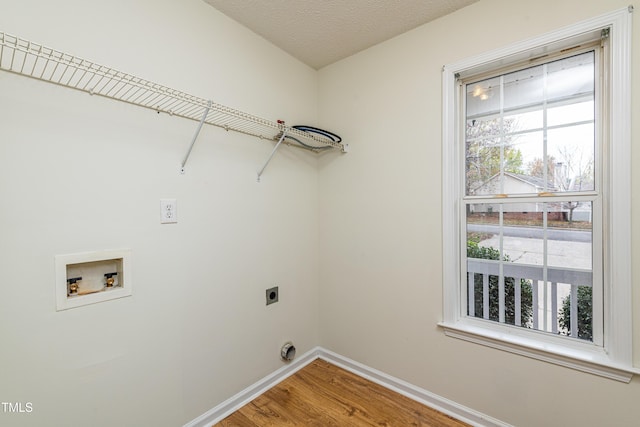 clothes washing area featuring electric dryer hookup, hookup for a washing machine, a wealth of natural light, and hardwood / wood-style flooring