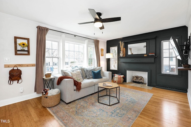 living room featuring crown molding, light hardwood / wood-style floors, a large fireplace, and ceiling fan