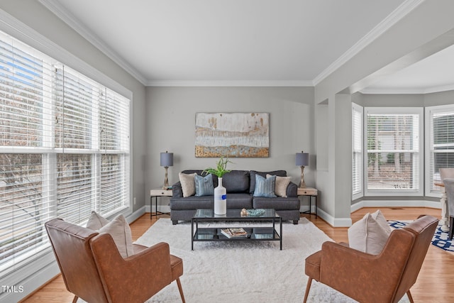 living room with crown molding and light wood-type flooring