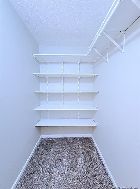 spacious closet featuring carpet floors