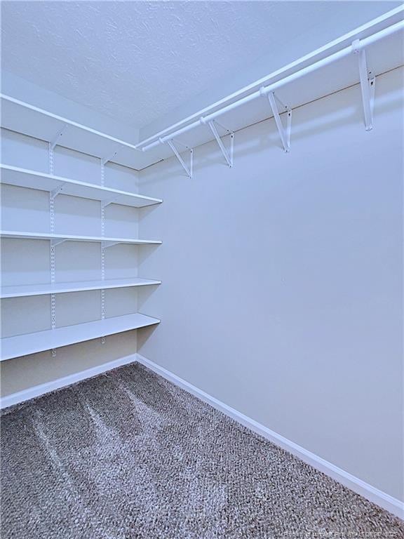 spacious closet with carpet flooring