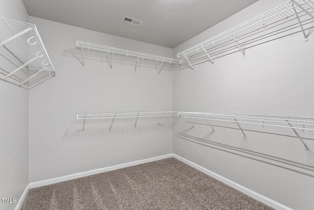 spacious closet featuring carpet flooring