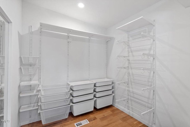 spacious closet with wood-type flooring