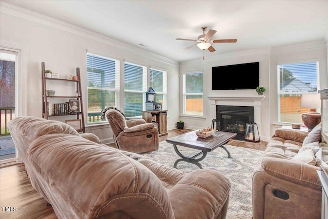 living room featuring crown molding, light hardwood / wood-style floors, and ceiling fan