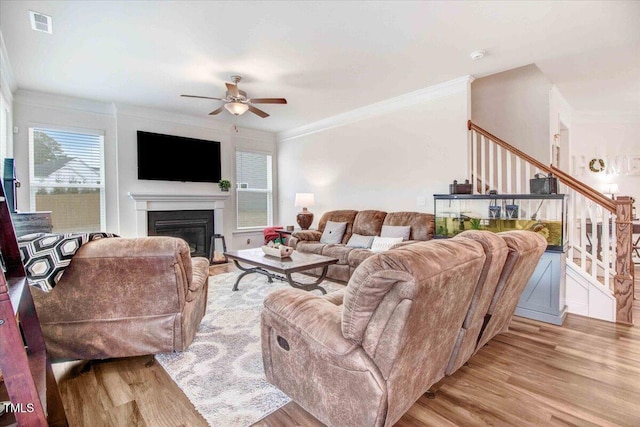 living room featuring crown molding, ceiling fan, and light hardwood / wood-style flooring