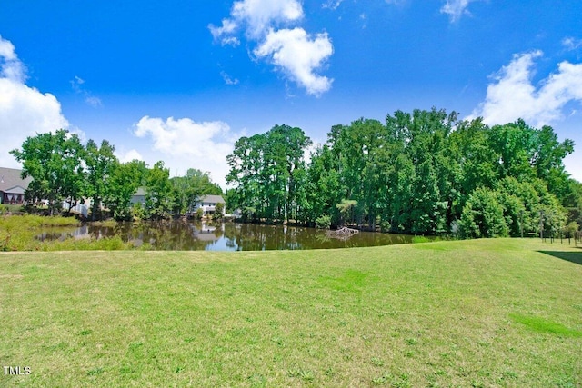 130 Daniel Farm Dr, Benson, NC 27504 - view of grassy yard featuring a water view