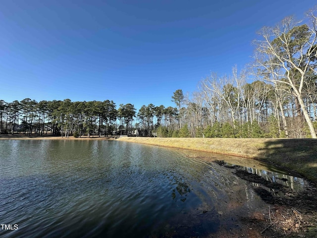 view of water feature