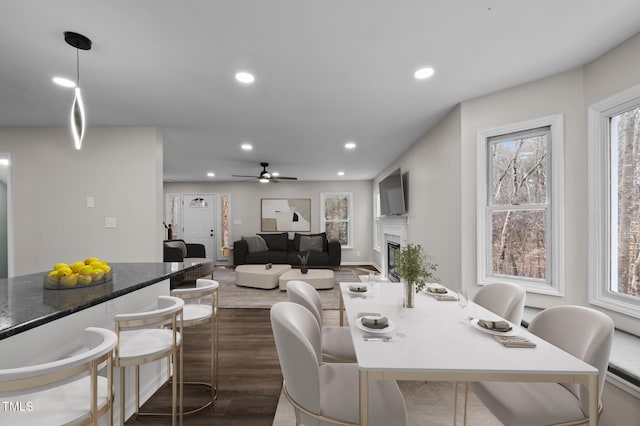 dining area with dark hardwood / wood-style floors