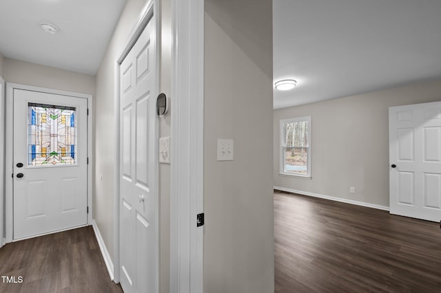 entrance foyer featuring dark hardwood / wood-style flooring