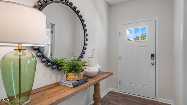 foyer entrance with dark hardwood / wood-style flooring