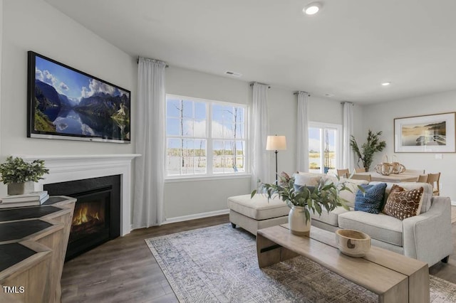 living room with wood-type flooring