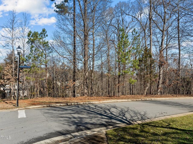 15 Golfers Ridge Ct, Chapel Hill, NC 27517 - photo 26