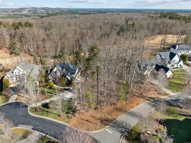 15 Golfers Ridge Ct, Chapel Hill, NC 27517 - photo 29