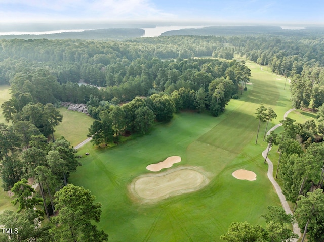 15 Golfers Ridge Ct, Chapel Hill, NC 27517 - photo 56