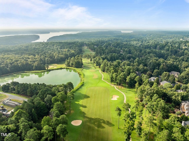 15 Golfers Ridge Ct, Chapel Hill, NC 27517 - photo 57