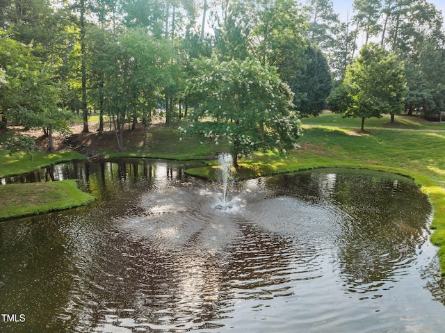 15 Golfers Ridge Ct, Chapel Hill, NC 27517 - photo 66