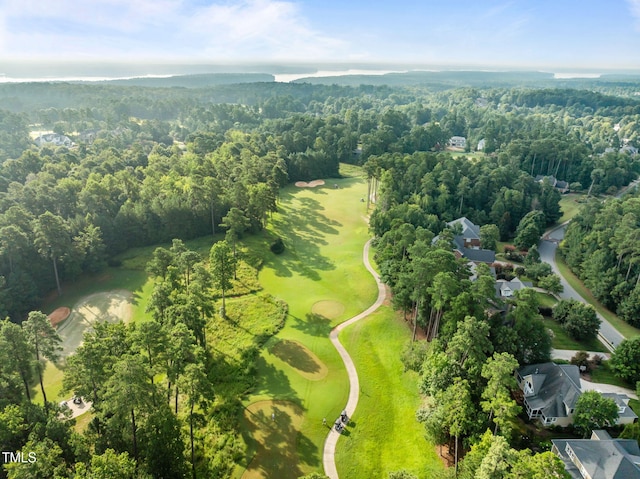 15 Golfers Ridge Ct, Chapel Hill, NC 27517 - photo 70