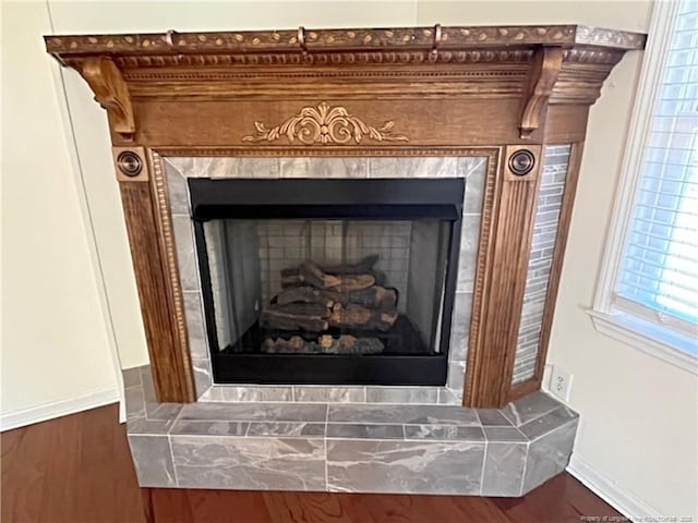 details featuring wood-type flooring and a fireplace