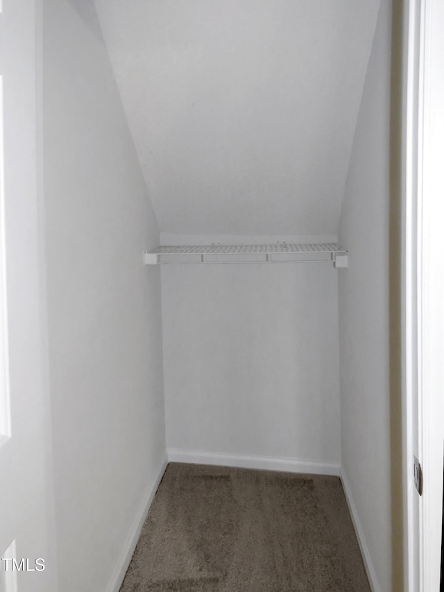 130 Luxon Pl, Cary, NC 27513 - walk in closet featuring carpet and lofted ceiling